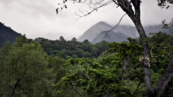 Foto: La Prensa