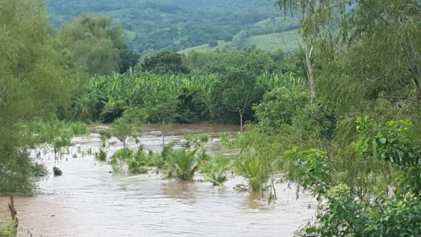 Foto: La Prensa