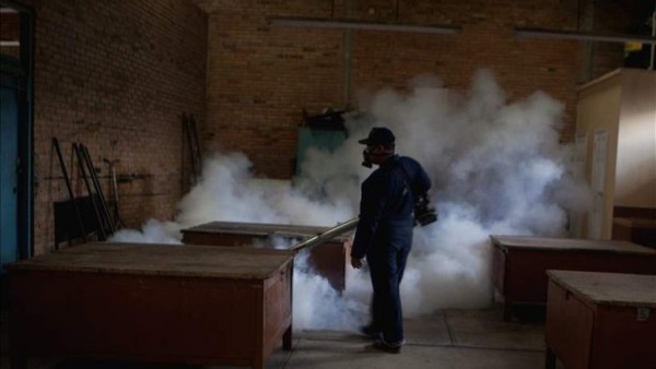 Fallece tercera víctima por dengue hemorrágico en Honduras en 2014