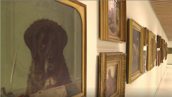 Los perros ya tienen un museo que los homenajea