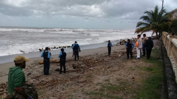 'Fifí” aparece muerto en una playa de La Ceiba