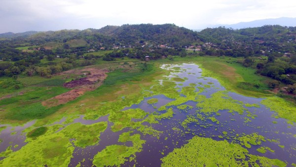 Desaparece la laguna de Jucutuma, una de las joyas naturales de San Pedro Sula