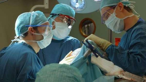 Médicos de EUA extraen un tumor a un bebé cuando aún estaba unido a la placenta