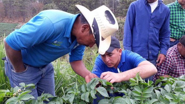 Ratifican apoyo a la agricultura familiar en Honduras