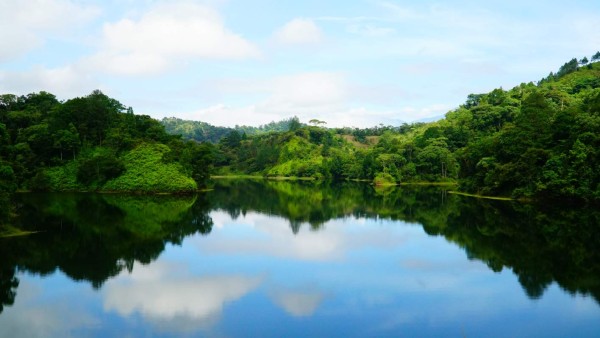 Ruta 504: Las bellezas de agua dulce del sur de Cortés