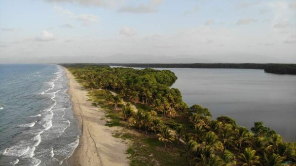 Para llegar a ese lugar debe dirigirse a la pintoresca comunidad garífuna de Miami, a 15 minutos del centro de Tela. Luego, gestionar un tour con los pescadores locales.