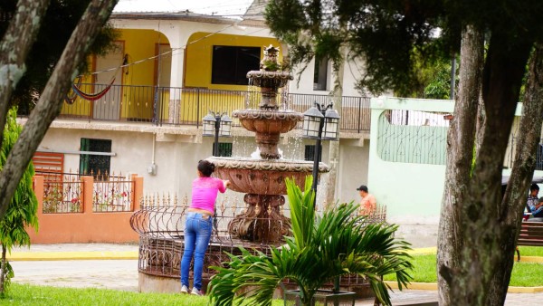 Conozca El Güisayote: zona fría de hermosas y elevadas praderas