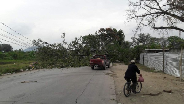 Foto: La Prensa