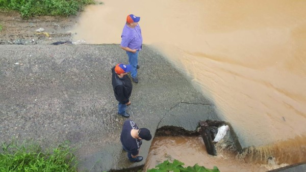 Foto: La Prensa