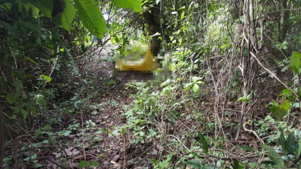 Lo hallan ahorcado debajo de un árbol en Santa Bárbara