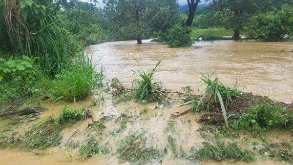 Foto: La Prensa