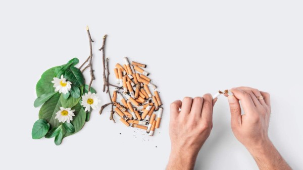 The last one cigarette conceptual photo. Stop smoking theme. Men hands break a cigarette. Lungs of a healthy person and a patient. No Smoking Day concept on a white background copy space.