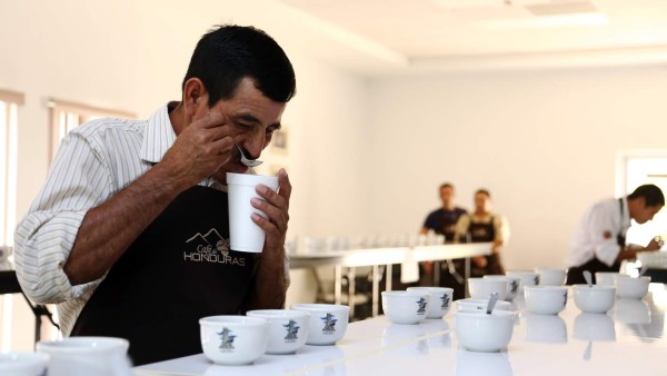 Rúber, el mejor catador de café en Honduras