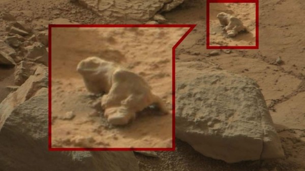 Fotos de cangrejos y ardillas revelan de que hay vida en Marte