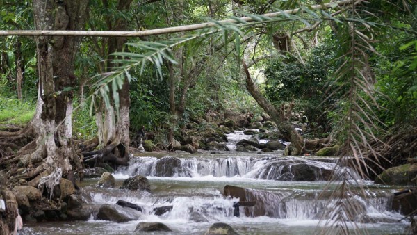 Ruta 504: refrescantes balnearios en Santa Bárbara