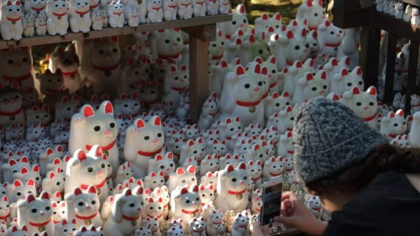 En Tokio, un templo de 'gatos de la suerte' atrae a 'instagramers'
