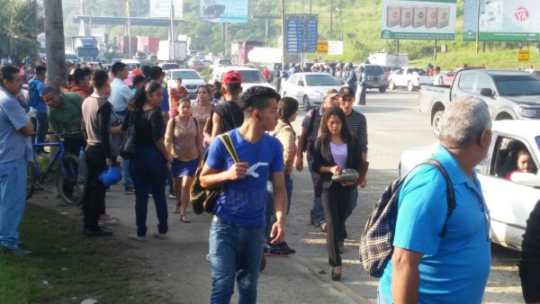 Transporte operará normal este jueves en San Pedro Sula