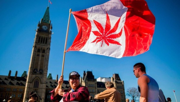 Histórico: Canadá legaliza el uso de la marihuana con fines recreativos