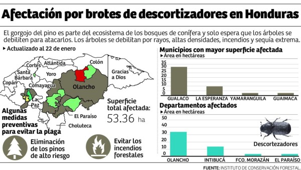 Foto: La Prensa