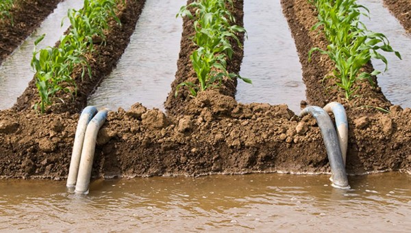 Gobierno argentino sube impuestos a las exportaciones agrícolas