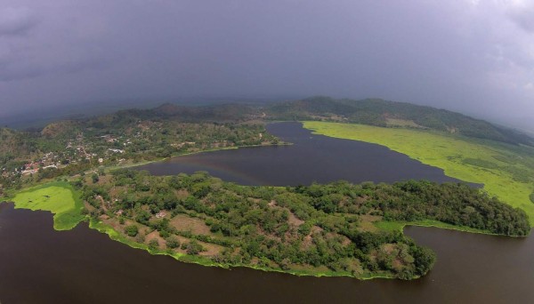 Ya no hay lechuga en el 10% de la laguna Jucutuma