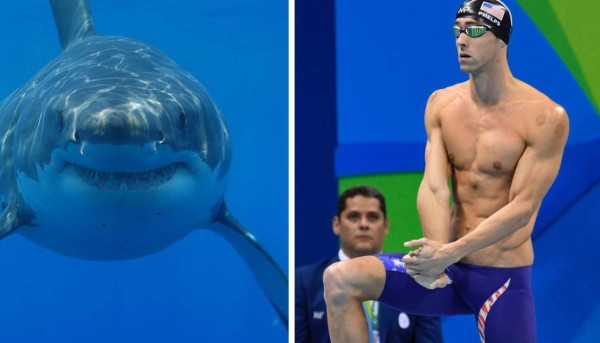 ¡Impresionante! Michael Phelps compitió contra un tiburón y así le fue