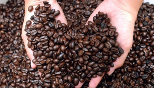 Aumento del 35% en el precio del café permite rentabilidad en fincas