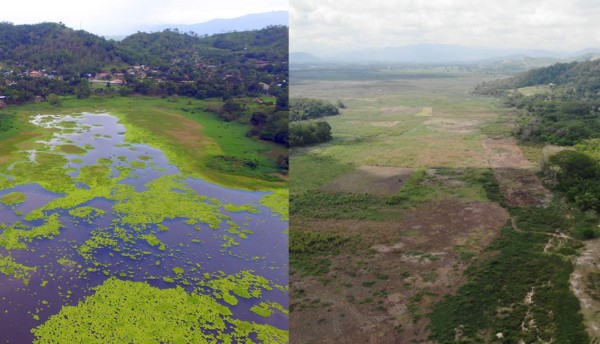 Desaparece la laguna de Jucutuma, una de las joyas naturales de San Pedro Sula