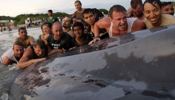 Una ballena gigante queda varada en una playa nicaragüense