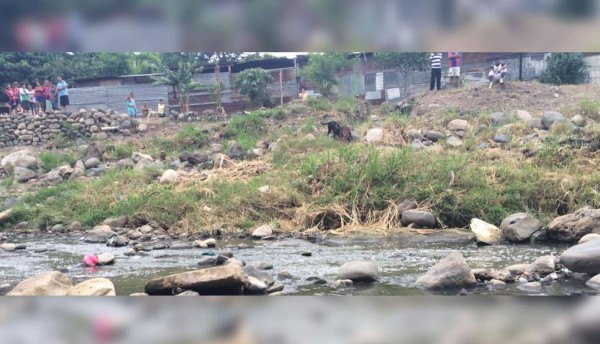 Encuentran cadáver flotando en río de Comayagüela  