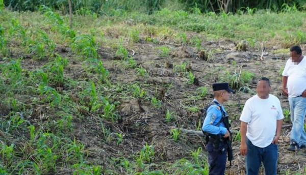 Cadáver en descomposición en hallado en el sector Chotepe de San Pedro Sula