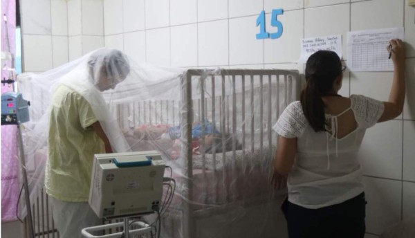 Congreso Médico Nacional: dengue afecta a embarazadas y causa partos prematuros