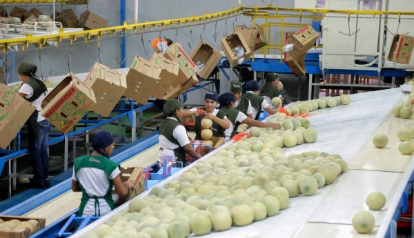 Exportaciones hondureñas crecen 20% y facturan $3,280 millones