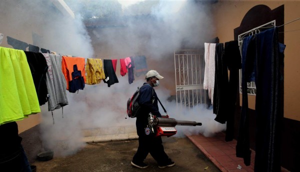 Masiva asistencia en jornada para combatir el virus del Zika