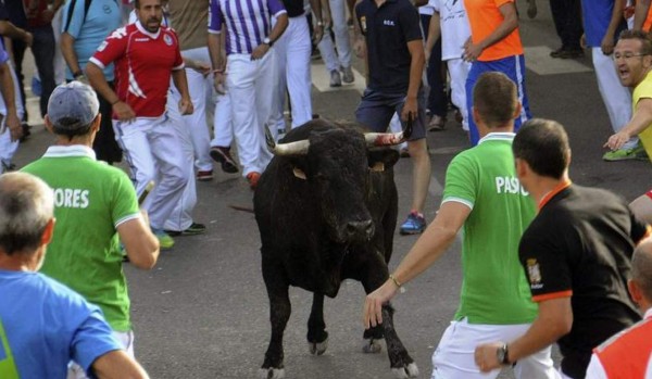 Un hombre muere corneado por un toro en España