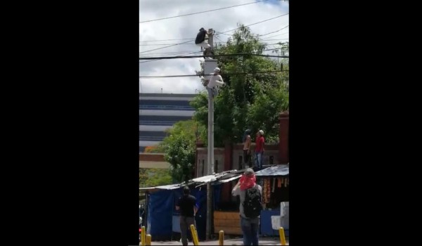 Presuntos manifestantes dañan cámaras en las afueras de la Unah  