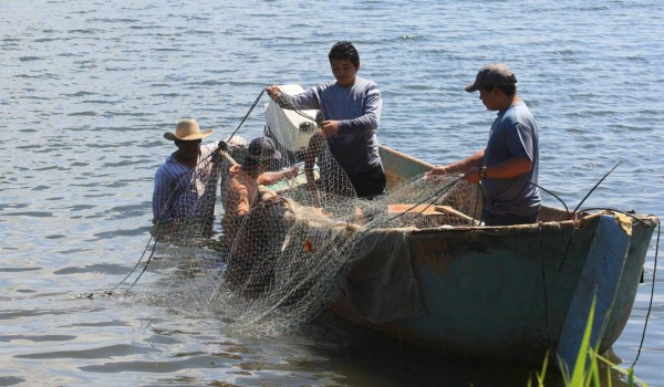 BID financia fondo de garantía para pescadores hondureños
