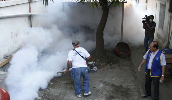 Inician fumigaciones contra el dengue en San Pedro Sula