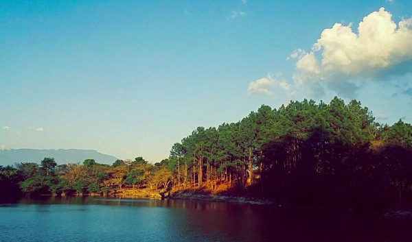 Tierra de las artesanías del junco, así es el municipio de Arada, Santa Bárbara