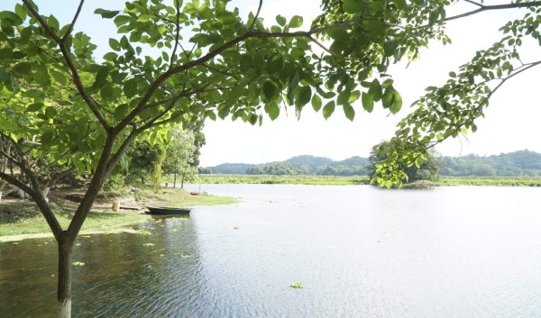 Ruta 504: Choloma, un encanto entre laguna, vegetación y ríos