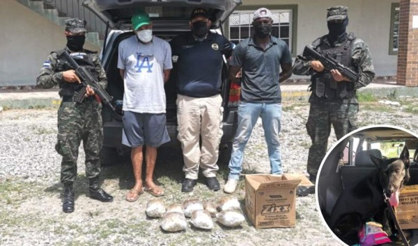En retén militar encuentran paquetes de droga en La Ceiba