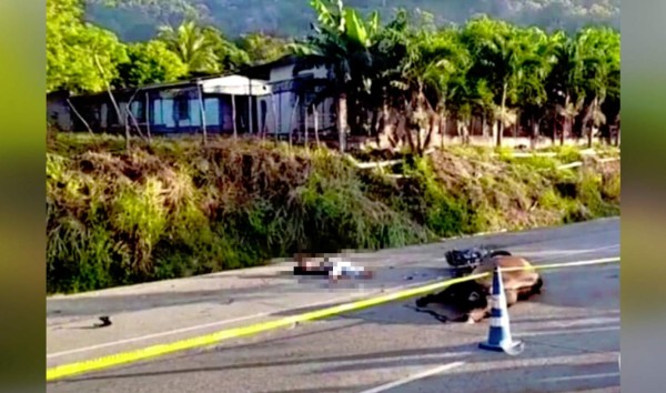 Motociclista muere tras impactar contra una vaca en Puerto Cortés