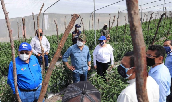 Gobierno aprueba tasa de interés del 5% para créditos al agro