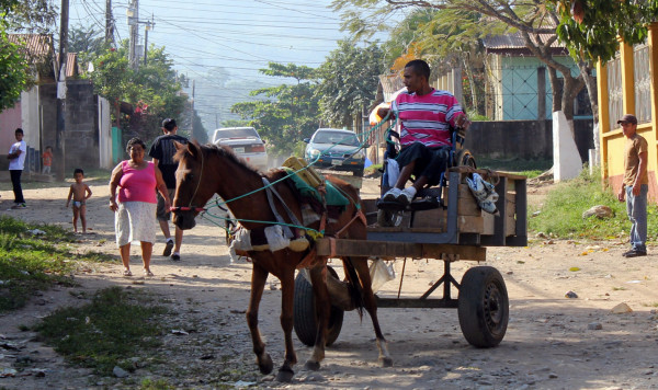 Maneja carreta de caballos desde una silla de ruedas