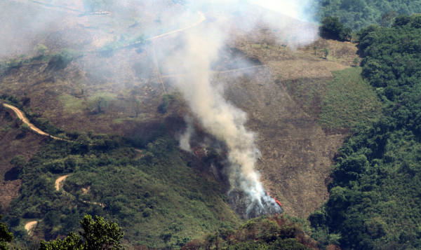 Sin control tala y quema del parque Cusuco en Honduras
