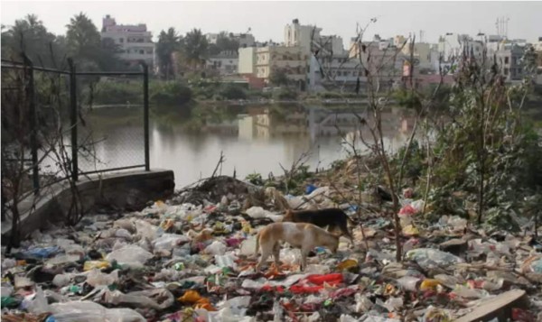 Bangalore, de ciudad jardín a ciudad basura