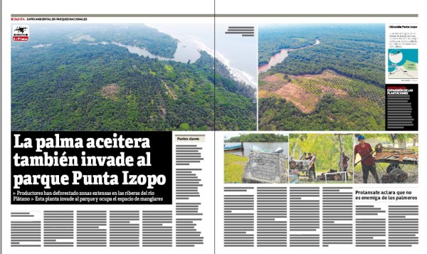 La palma aceitera devora más bosques de Honduras