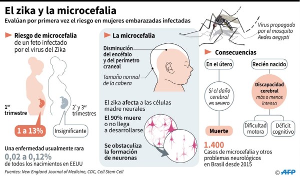 Mujeres con zika al principio del embarazo tienen más bebés con microcefalia