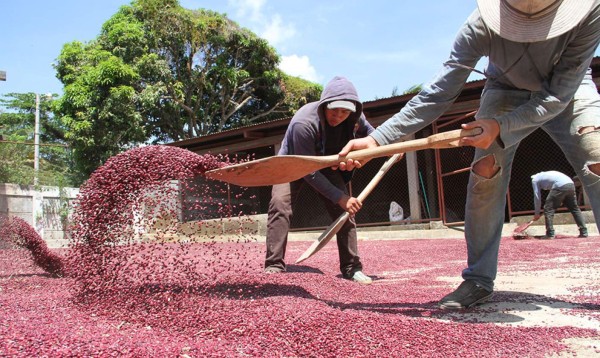 Precios de materias primas obligan a AL a ajustar el cinturón