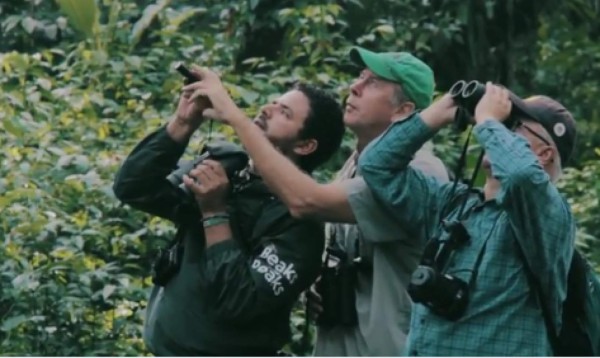 Honduras será sede de tour internacional de avistamiento de aves